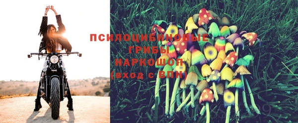молекула духа Нея