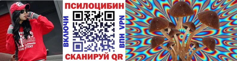 Галлюциногенные грибы MAGIC MUSHROOMS  сколько стоит  Старый Оскол 