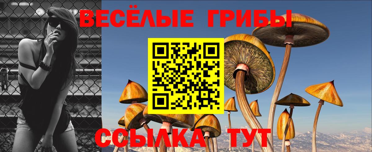 Псилоцибиновые грибы Cubensis Старый Оскол