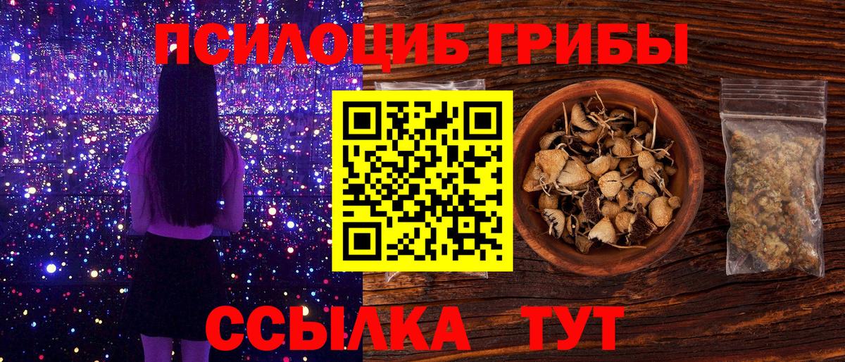 Старый Оскол  Галлюциногенные грибы прущие грибы  где можно купить наркотик  Вход с VPN 